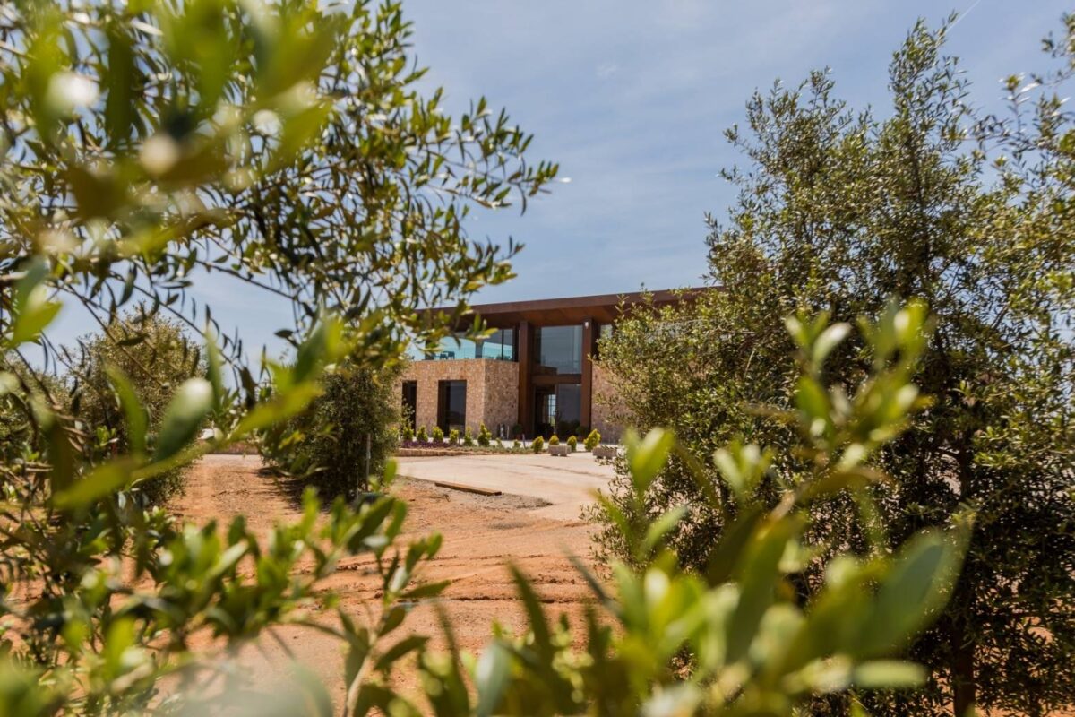 Besuch der Finca Son Mesquidassa